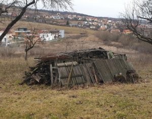 , 8000m2 in Cluj-napoca, zona Borhanci