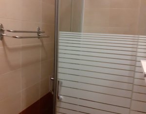 Appartement 1 chambres à louer dans Cluj-napoca, zone Gruia