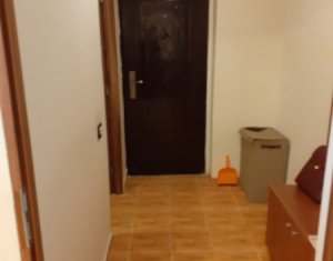 Apartment 1 rooms for rent in Cluj-napoca, zone Gruia