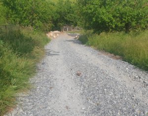 Terrain à vendre dans Ciurila