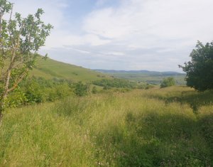 Terrain à vendre dans Ciurila