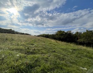 , 3100m2 in Cluj-napoca, zona Faget