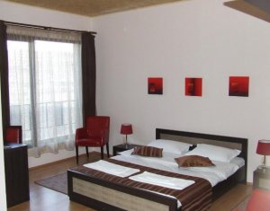 House 10 rooms for rent in Cluj-napoca, zone Borhanci