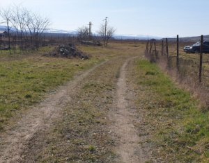 Telek eladó on Apahida