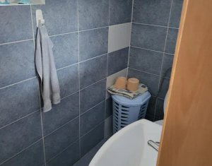 Maison 4 chambres à vendre dans Cluj-napoca, zone Borhanci