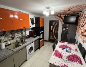 Maison 4 chambres à vendre dans Cluj-napoca, zone Iris