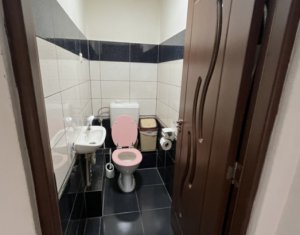 Maison 4 chambres à vendre dans Cluj-napoca, zone Iris