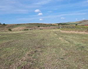 Teren intravilan Corusu cu vedere peste sat, parcelabil