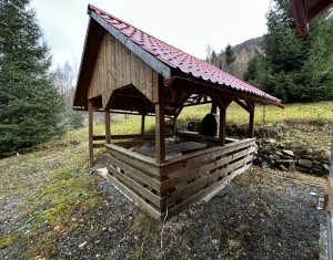 Oportunitate unica! 5ha + 2 cabane de vacanta in Valea Ierii