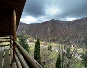 Oportunitate unica! 5ha + 2 cabane de vacanta in Valea Ierii