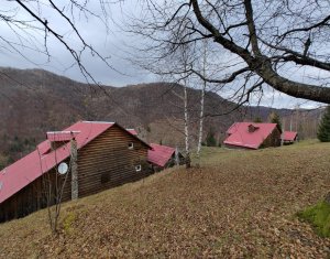 Oportunitate unica! 5ha + 2 cabane de vacanta in Valea Ierii