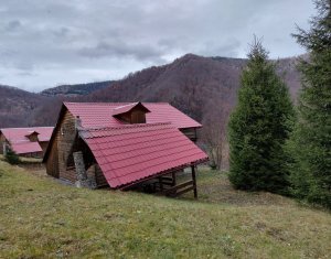 Oportunitate unica! 5ha + 2 cabane de vacanta in Valea Ierii