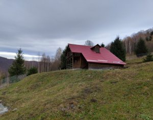 Oportunitate unica! 5ha + 2 cabane de vacanta in Valea Ierii