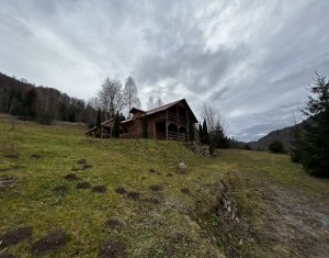 Oportunitate unica! 5ha + 2 cabane de vacanta in Valea Ierii