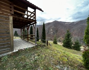 Oportunitate unica! 5ha + 2 cabane de vacanta in Valea Ierii