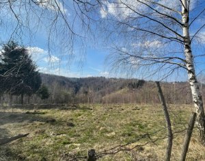 Teren cu panorama pentru cabana, Risca, Valea Fericirii