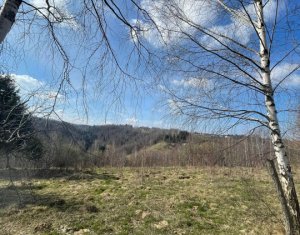 Teren cu panorama pentru cabana, Risca, Valea Fericirii