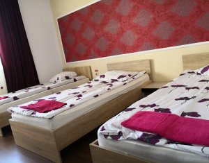 House 9 rooms for rent in Cluj-napoca, zone Centru