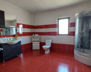 Maison 4 chambres à vendre dans Cluj-napoca, zone Iris