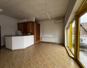 Industrial space for rent in Cluj-napoca, zone Someseni