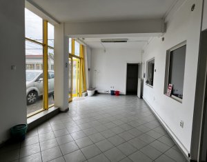 Industrial space for rent in Cluj-napoca, zone Someseni