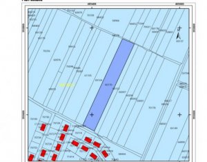 , 6500m2 in Jucu De Mijloc