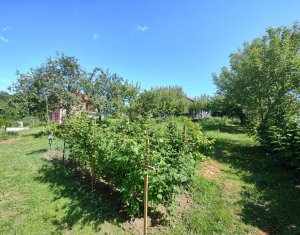 Oaza ta de liniste si verdeata, teren Faget cu parau in curte