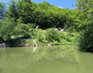 Casa de vacanta, cu lac de pescuit, 5640 mp teren, com. Chiuiesti, jud. Cluj