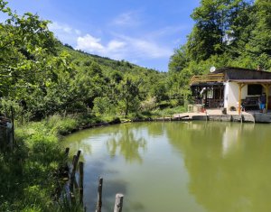 Casa de vacanta, cu lac de pescuit, 5640 mp teren, com. Chiuiesti, jud. Cluj