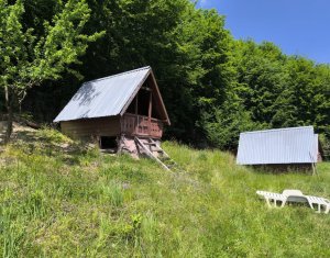 Casa de vacanta, cu lac de pescuit, 5640 mp teren, com. Chiuiesti, jud. Cluj