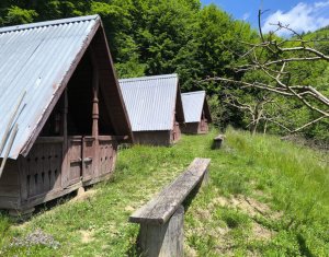 Casa de vacanta, cu lac de pescuit, 5640 mp teren, com. Chiuiesti, jud. Cluj