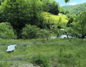 Casa de vacanta, cu lac de pescuit, 5640 mp teren, com. Chiuiesti, jud. Cluj