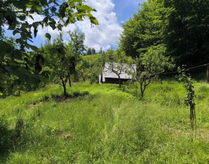 Casa de vacanta, cu lac de pescuit, 5640 mp teren, com. Chiuiesti, jud. Cluj