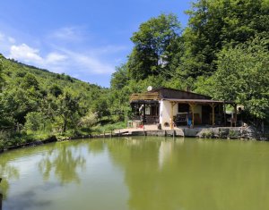 Casa de vacanta, cu lac de pescuit, 5640 mp teren, com. Chiuiesti, jud. Cluj