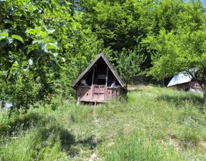 Casa de vacanta, cu lac de pescuit, 5640 mp teren, com. Chiuiesti, jud. Cluj