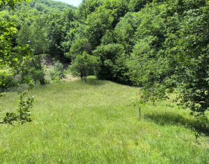 Casa de vacanta, cu lac de pescuit, 5640 mp teren, com. Chiuiesti, jud. Cluj