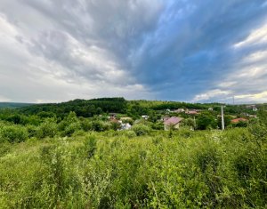 Teren autorizat Valea Capriorii, Feleacu