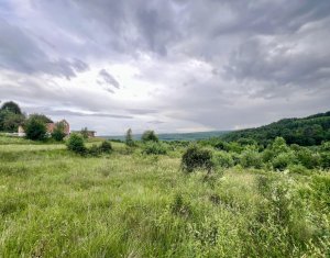 Teren autorizat Valea Capriorii, Feleacu