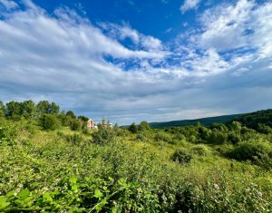 Teren autorizat Valea Capriorii, Feleacu