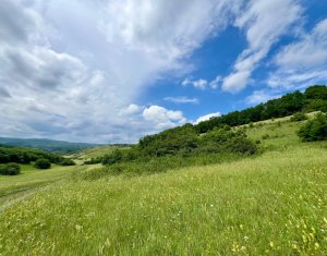 Oportunitate investitie, teren cu panorama pentru cabane