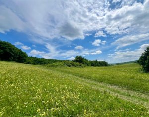 Oportunitate investitie, teren cu panorama pentru cabane