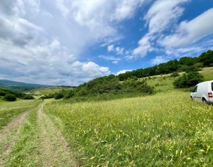 Oportunitate investitie, teren cu panorama pentru cabane