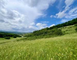 Oportunitate investitie, teren cu panorama pentru cabane