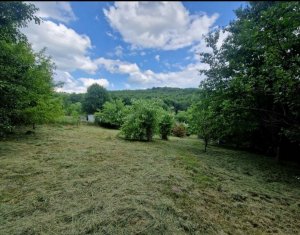 Land for sale in Feleacu