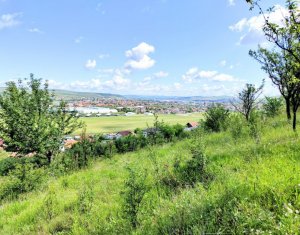 Land for sale in Dezmir