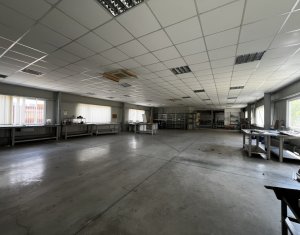 Industrial space for rent in Baciu