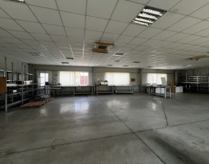 Industrial space for rent in Baciu