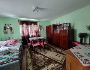 Casa veche, toate utilitatile, Pata, 5808 mp, tot intravilan, front 19,4m