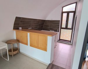 House 8 rooms for rent in Cluj-napoca, zone Grigorescu