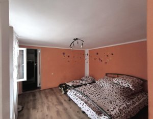 Maison 9 chambres à vendre dans Cluj-napoca, zone Dambul Rotund